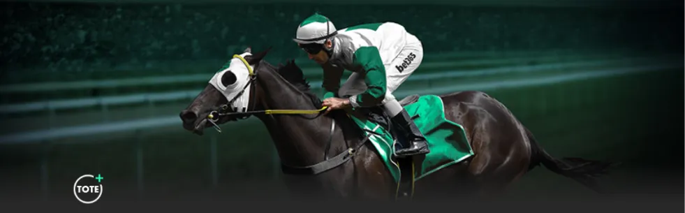 国青征战海,英超球探瞩,目亚洲杯,星空体育官网,星空体育App,星空体育直播,星空体育平台,星空体育入口